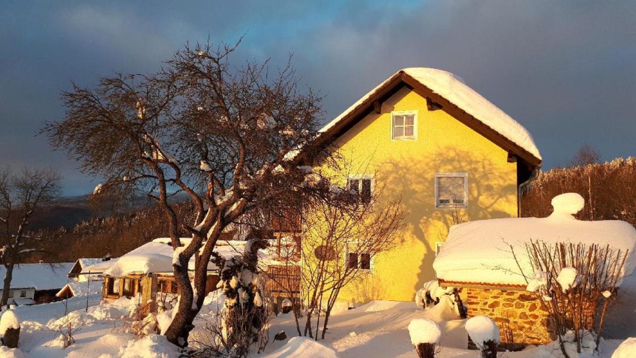 Ferienwohnung Sigi'S Waldhaus Neuschönau Eksteriør bilde